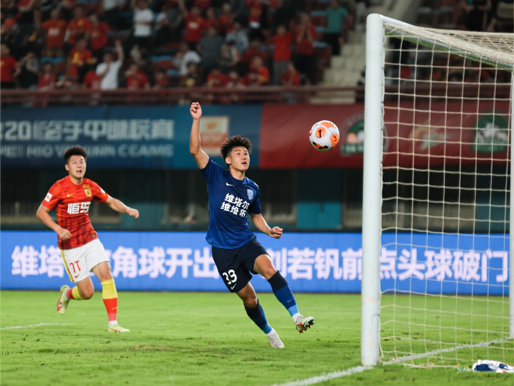 极大的支持 极大的支持